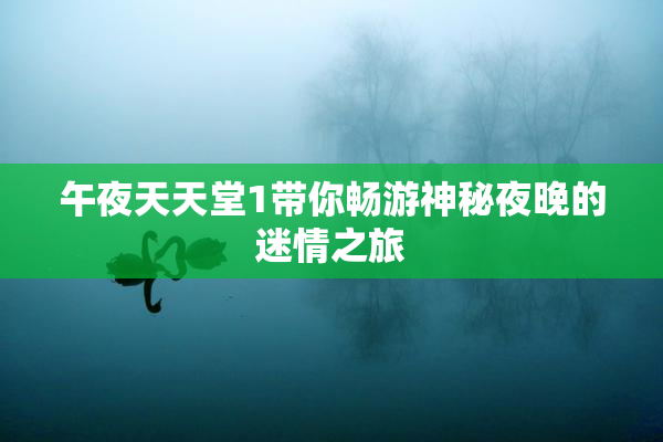 午夜天天堂1带你畅游神秘夜晚的迷情之旅