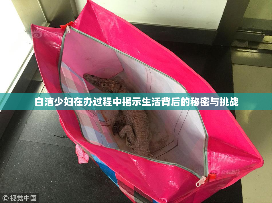 白洁少妇在办过程中揭示生活背后的秘密与挑战