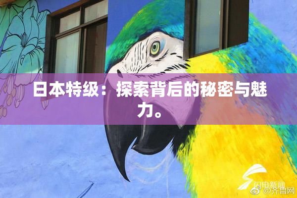 日本特级：探索背后的秘密与魅力。