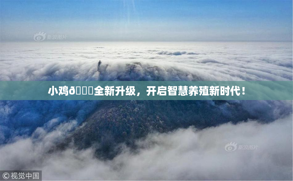 小鸡🐔全新升级，开启智慧养殖新时代！