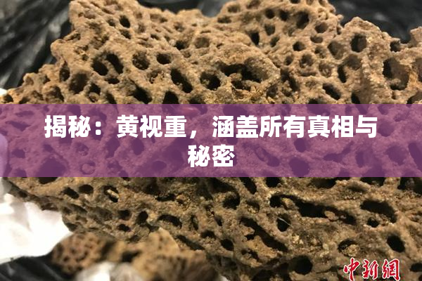 揭秘：黄视重，涵盖所有真相与秘密