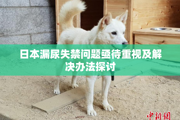 日本漏尿失禁问题亟待重视及解决办法探讨
