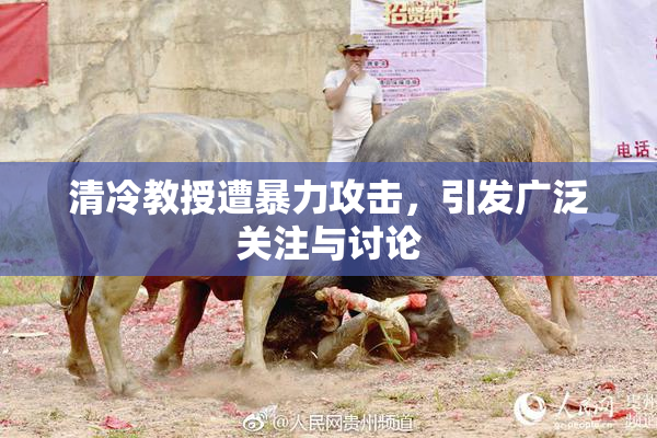 清冷教授遭暴力攻击，引发广泛关注与讨论