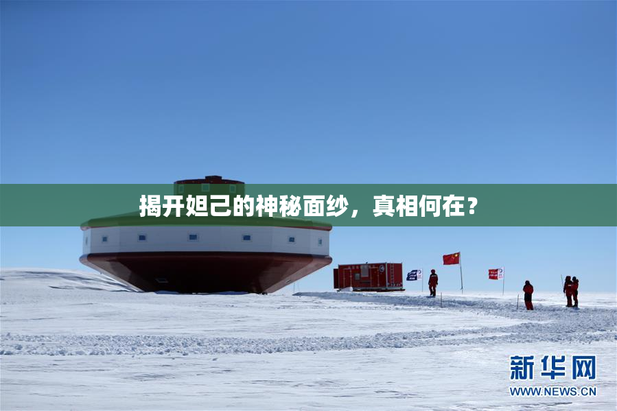 揭开妲己的神秘面纱，真相何在？