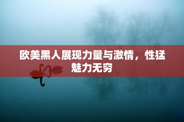 欧美黑人展现力量与激情，性猛魅力无穷