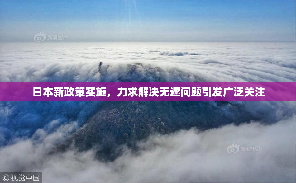 日本新政策实施，力求解决无遮问题引发广泛关注