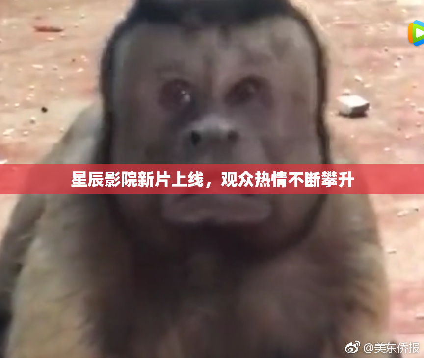 星辰影院新片上线，观众热情不断攀升