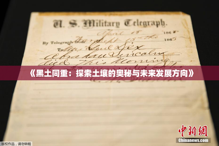 《黑土同重：探索土壤的奥秘与未来发展方向》