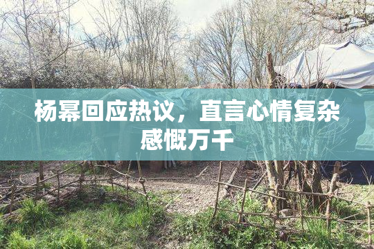 杨幂回应热议，直言心情复杂感慨万千