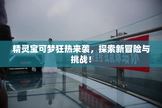 精灵宝可梦狂热来袭，探索新冒险与挑战！