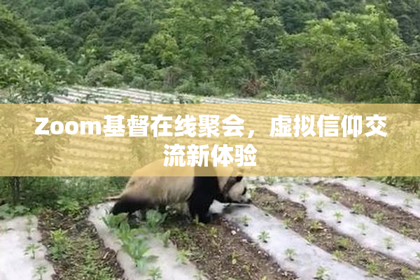 Zoom基督在线聚会，虚拟信仰交流新体验