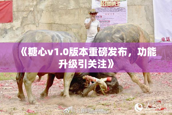 《糖心v1.0版本重磅发布，功能升级引关注》