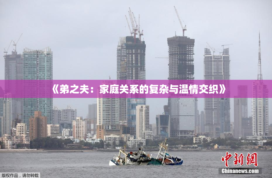 《弟之夫：家庭关系的复杂与温情交织》