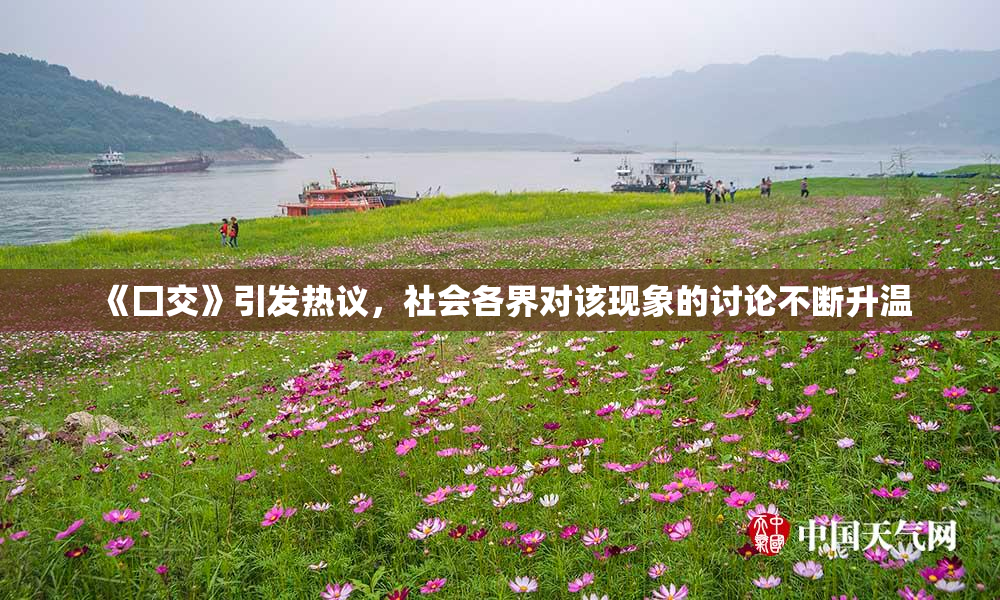《囗交》引发热议，社会各界对该现象的讨论不断升温