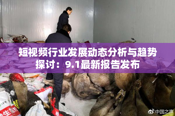 短视频行业发展动态分析与趋势探讨：9.1最新报告发布