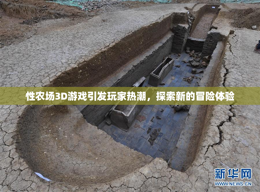 性农场3D游戏引发玩家热潮，探索新的冒险体验