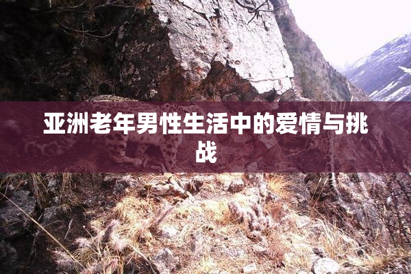 亚洲老年男性生活中的爱情与挑战