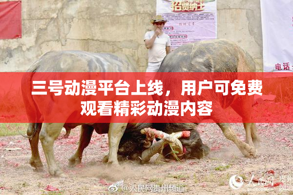 三号动漫平台上线，用户可免费观看精彩动漫内容