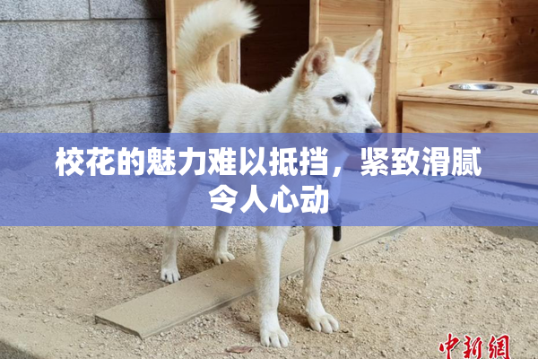 校花的魅力难以抵挡，紧致滑腻令人心动