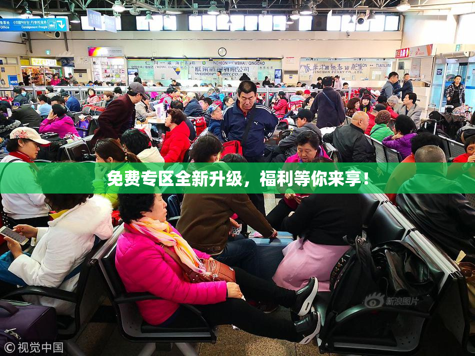 免费专区全新升级，福利等你来享！