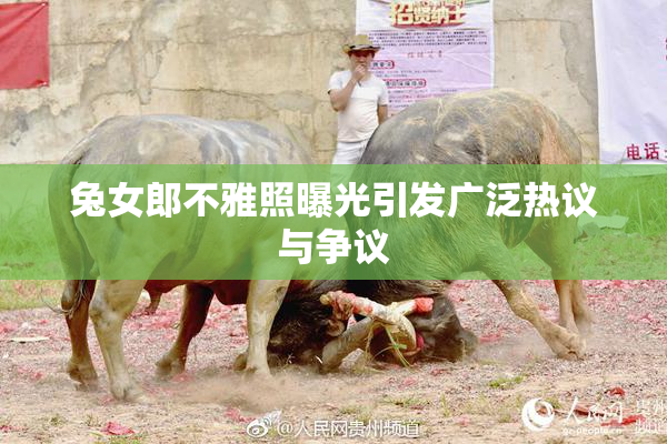 兔女郎不雅照曝光引发广泛热议与争议