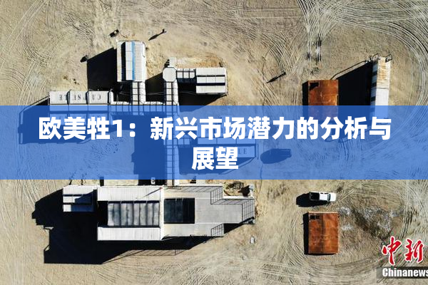 欧美牲1：新兴市场潜力的分析与展望