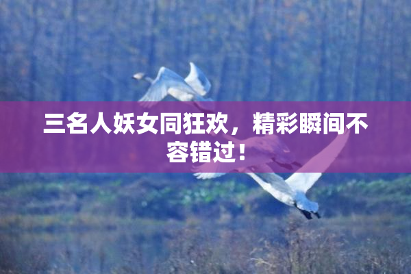 三名人妖女同狂欢，精彩瞬间不容错过！