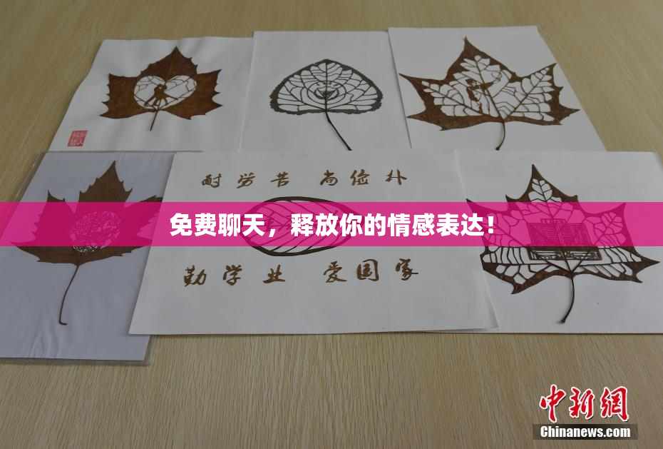 免费聊天，释放你的情感表达！