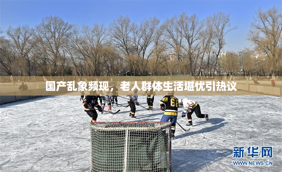 国产乱象频现，老人群体生活堪忧引热议