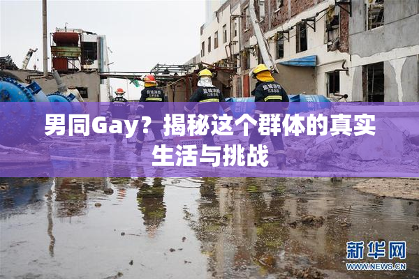 男同Gay？揭秘这个群体的真实生活与挑战