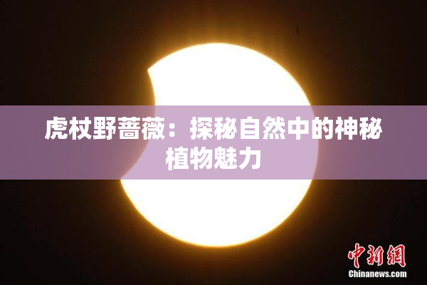 虎杖野蔷薇：探秘自然中的神秘植物魅力