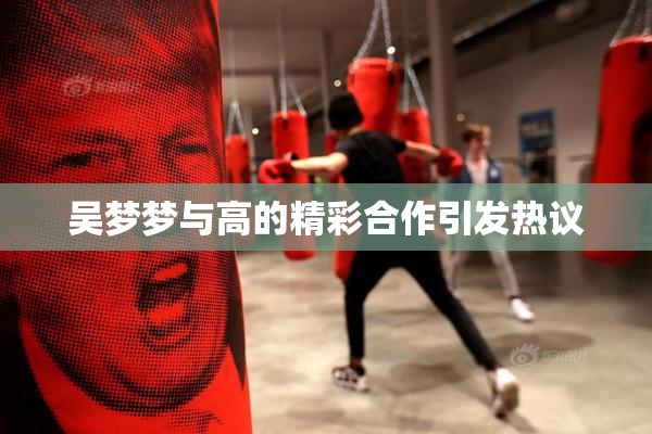 吴梦梦与高的精彩合作引发热议