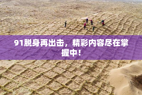 91脱身再出击，精彩内容尽在掌握中！