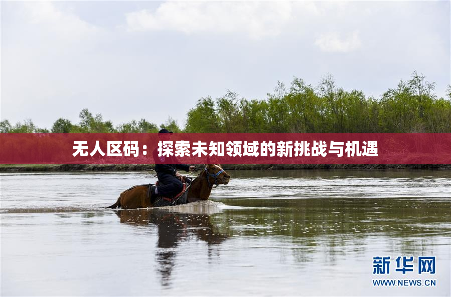 无人区码：探索未知领域的新挑战与机遇