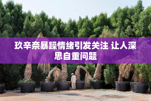 玖辛奈暴躁情绪引发关注 让人深思自重问题