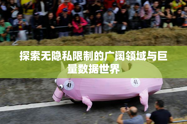 探索无隐私限制的广阔领域与巨量数据世界