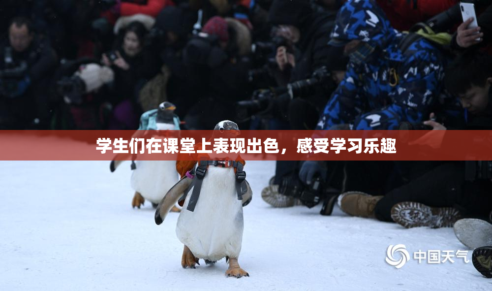 学生们在课堂上表现出色，感受学习乐趣