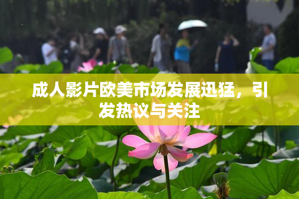 成人影片欧美市场发展迅猛，引发热议与关注