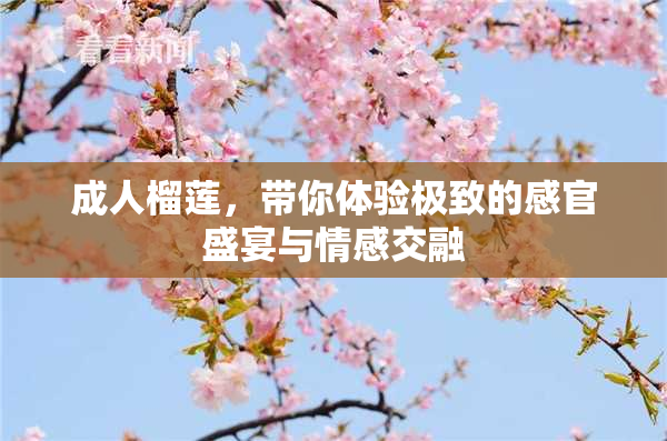 成人榴莲，带你体验极致的感官盛宴与情感交融