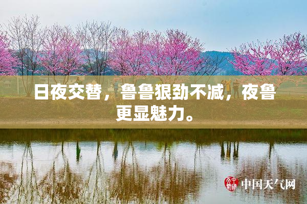 日夜交替，鲁鲁狠劲不减，夜鲁更显魅力。