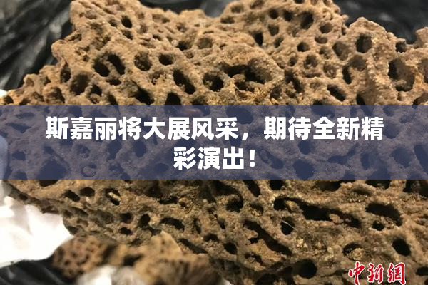 斯嘉丽将大展风采，期待全新精彩演出！