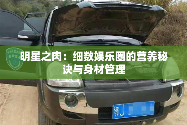 明星之肉：细数娱乐圈的营养秘诀与身材管理