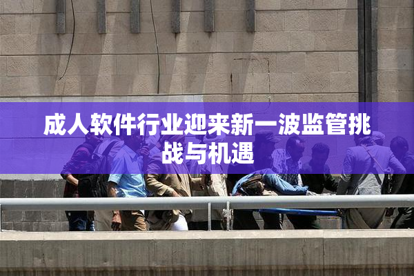 成人软件行业迎来新一波监管挑战与机遇