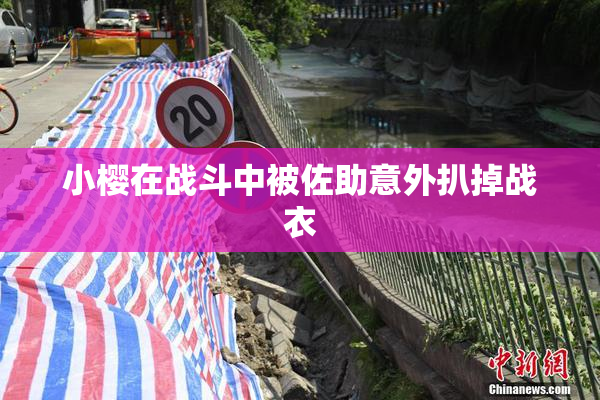 小樱在战斗中被佐助意外扒掉战衣
