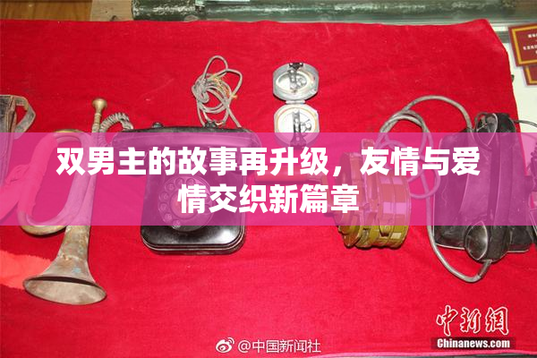 双男主的故事再升级，友情与爱情交织新篇章
