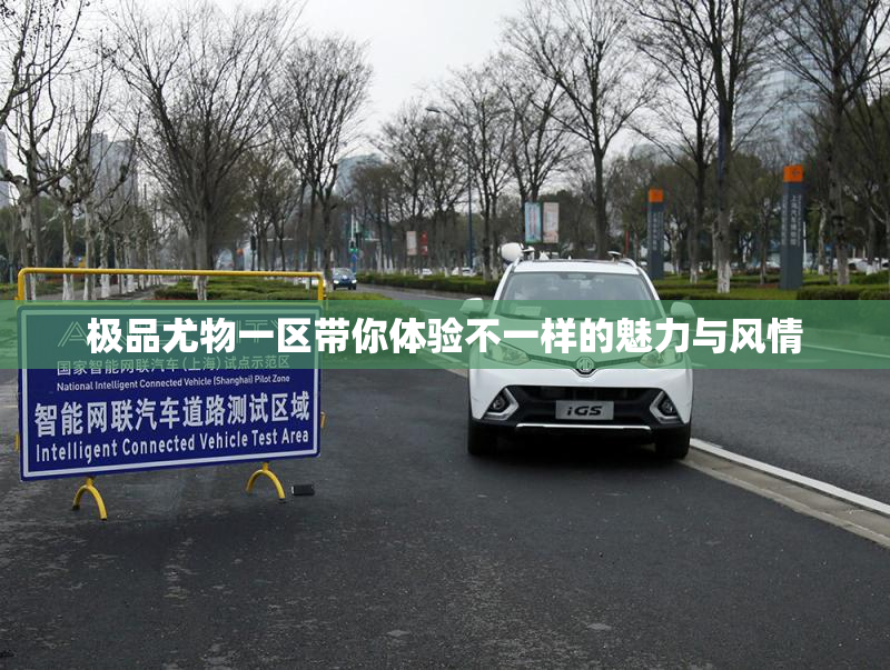 极品尤物一区带你体验不一样的魅力与风情