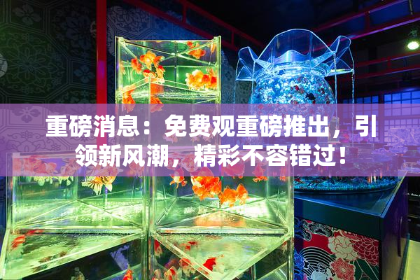 重磅消息：免费观重磅推出，引领新风潮，精彩不容错过！