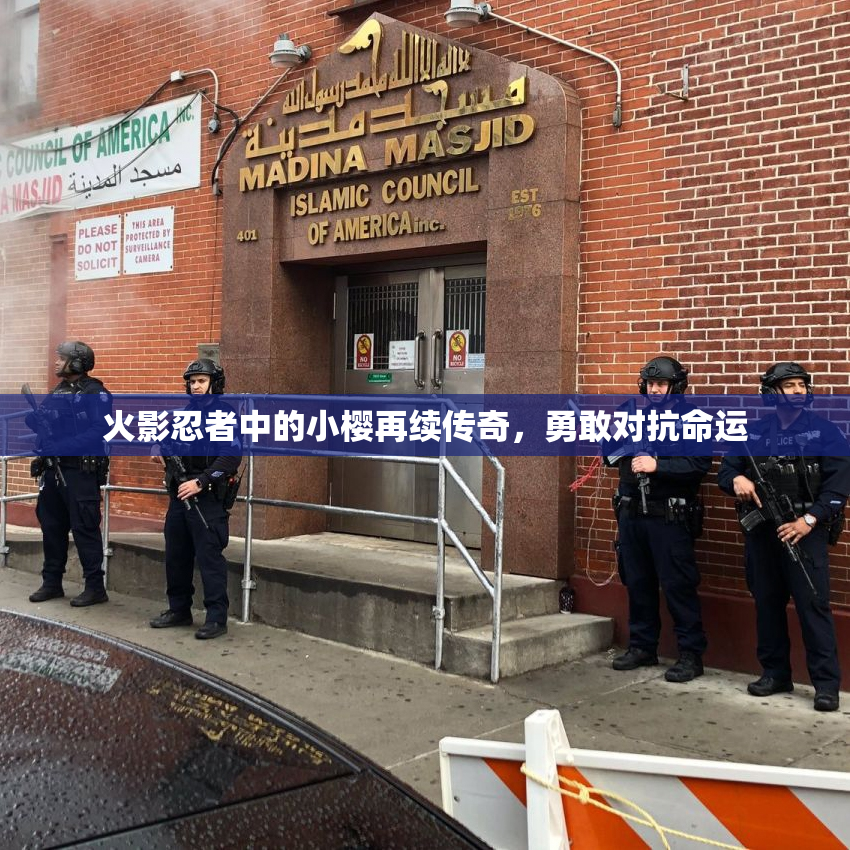 火影忍者中的小樱再续传奇，勇敢对抗命运