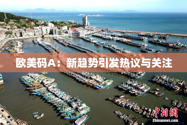 欧美码A：新趋势引发热议与关注