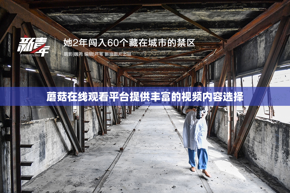 蘑菇在线观看平台提供丰富的视频内容选择
